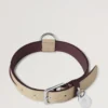 Medium Leather Dog Collar Dune & Oxblood Small Classic Grain
